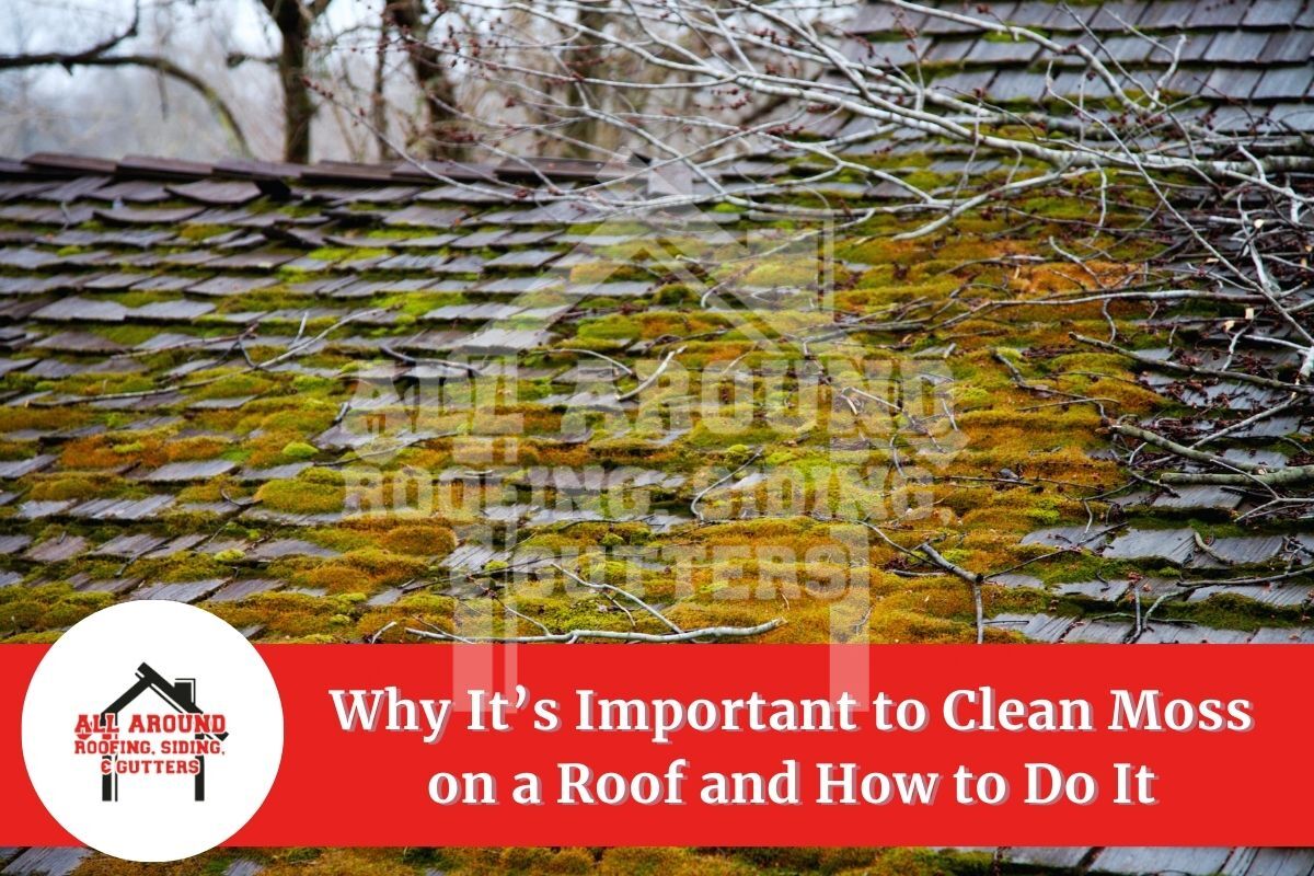 clean moss on roof
