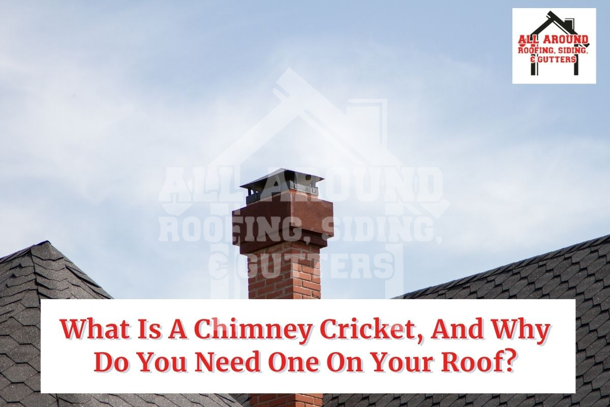 Chimney Cricket