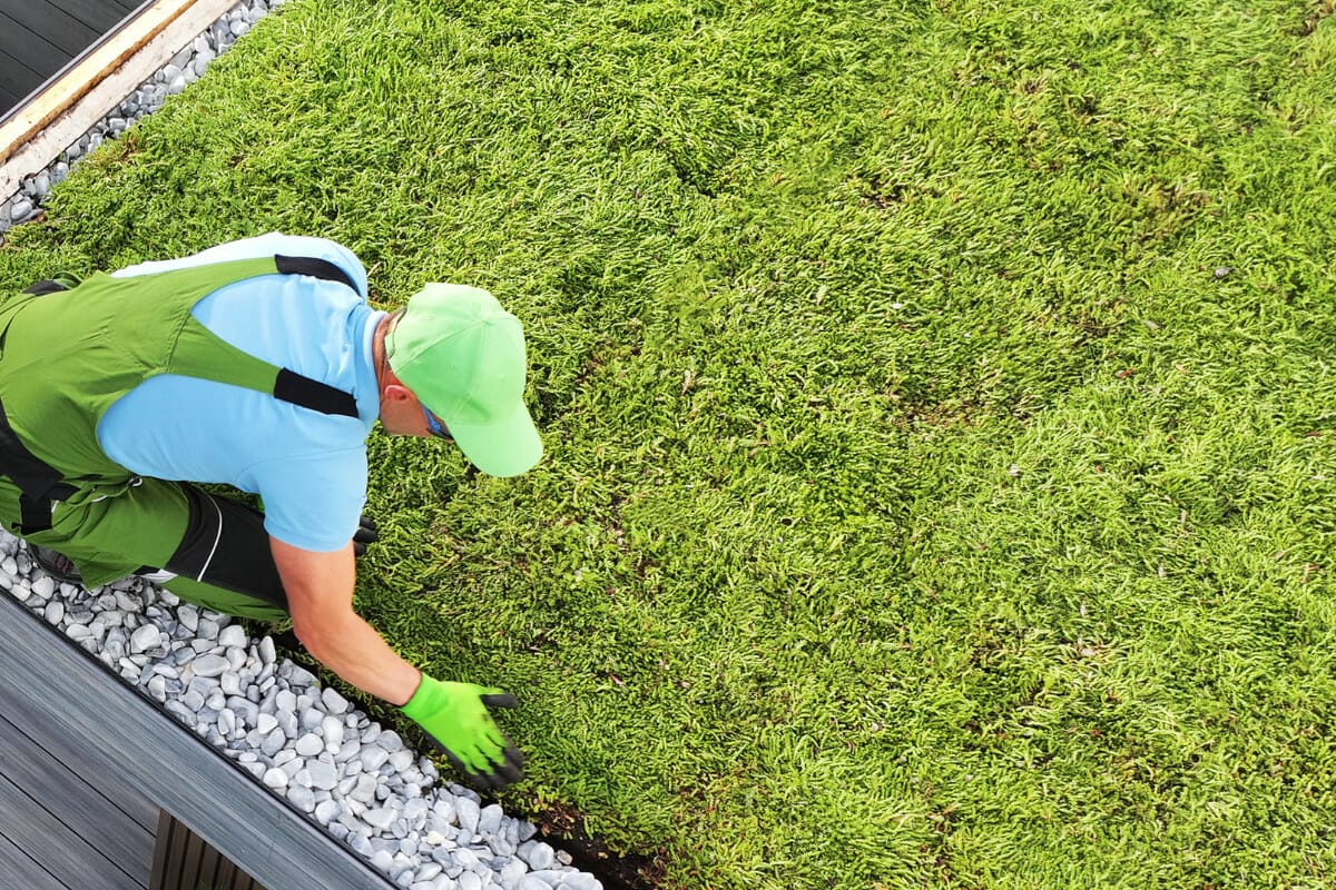 Types Green Roof Systems