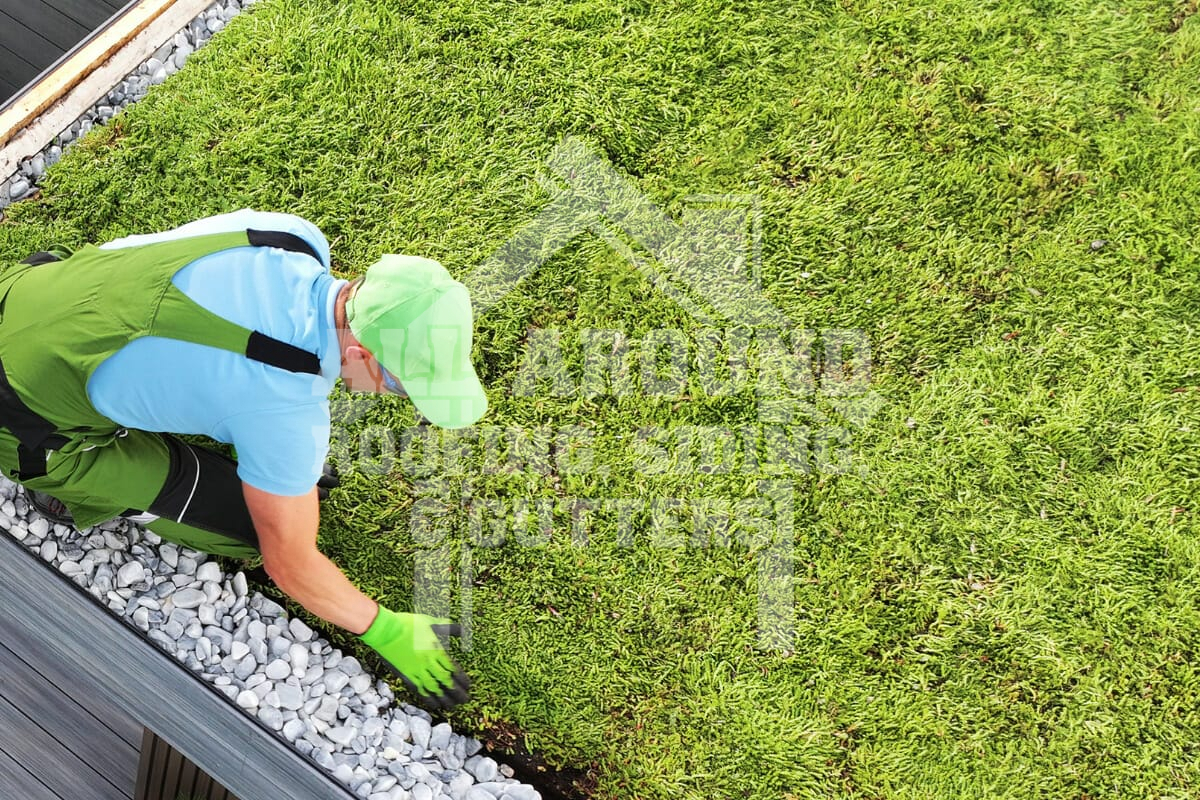 Types Green Roof Systems