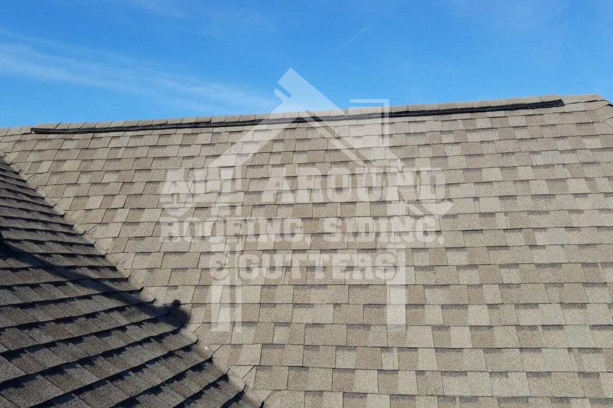 Dimensional roof shingles 