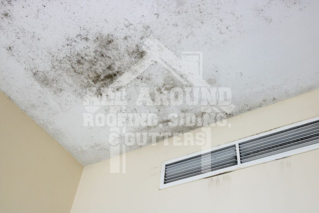 Mold and mildew