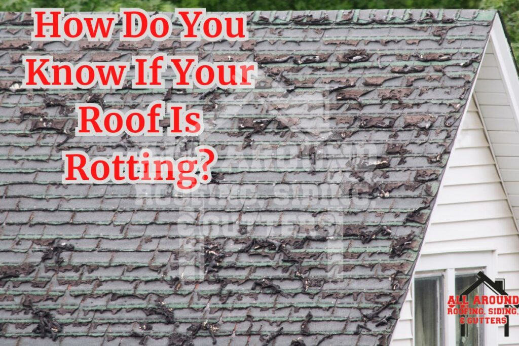 Roof rot