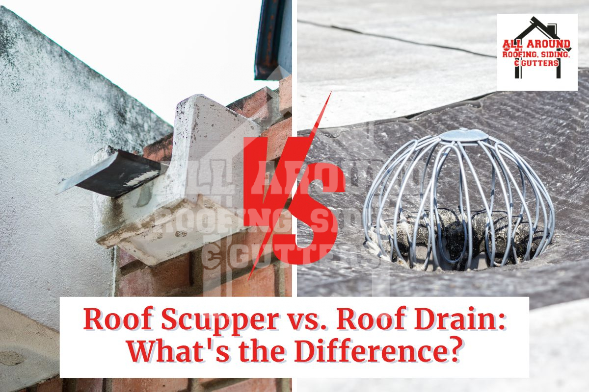 roof scupper vs roof drain