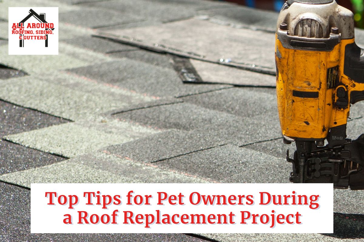 Top Tips for Pet Owners During a Roof Replacement Project