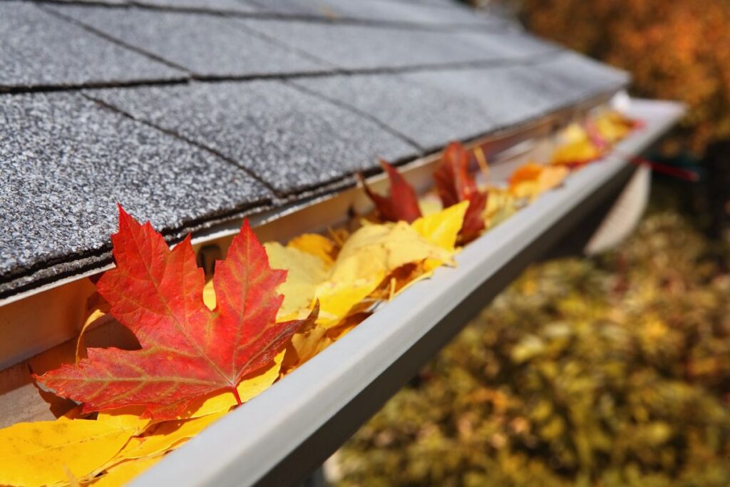 Clogged gutters