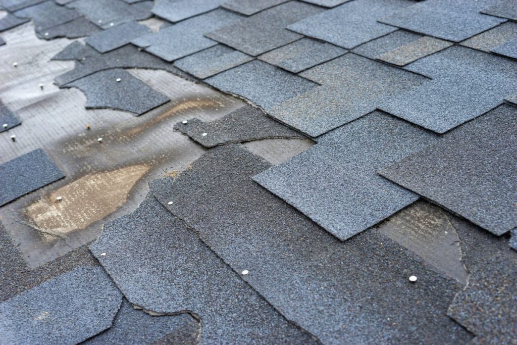 Shingle damage