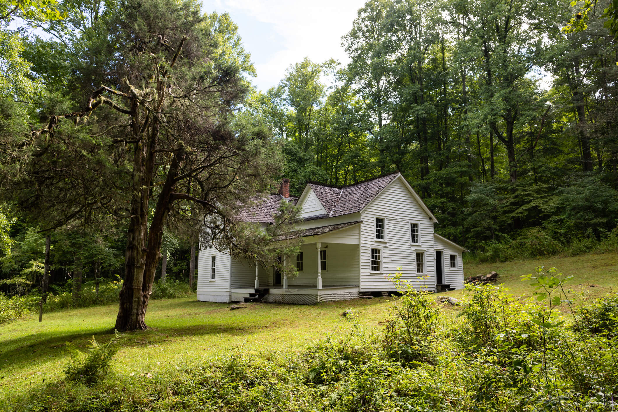White wooden farmhouse with front porch surrounded by lush green forest and trees