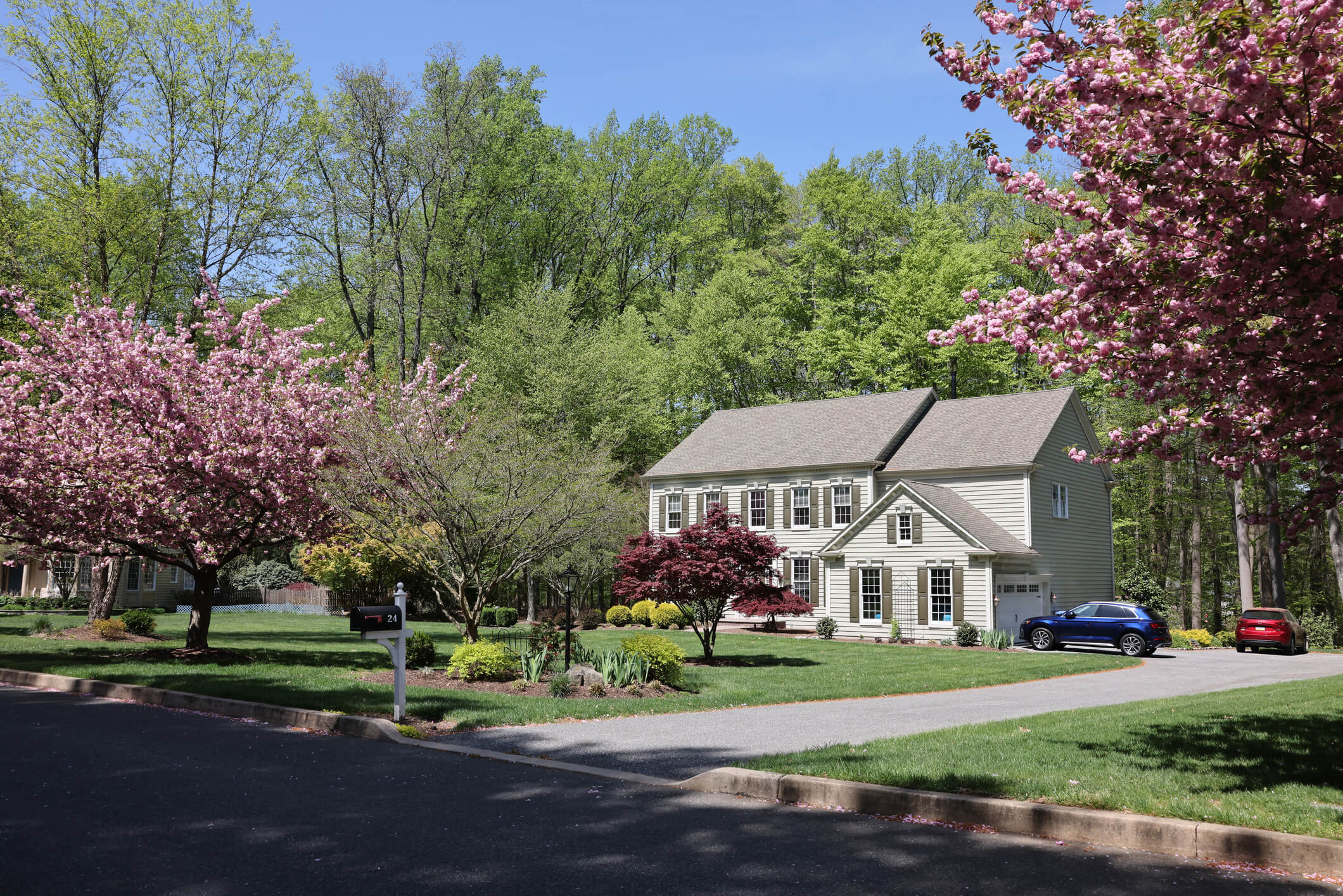 Two-story colonial house with flowering cherry trees in spring suburban setting